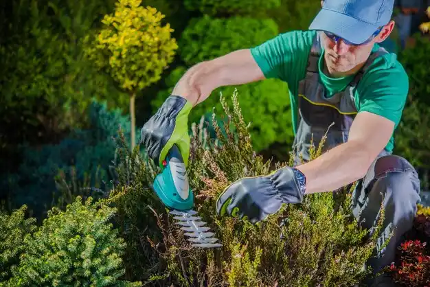 landscaping services Wayne